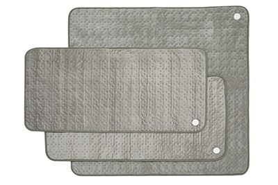 DENBA Health Standard